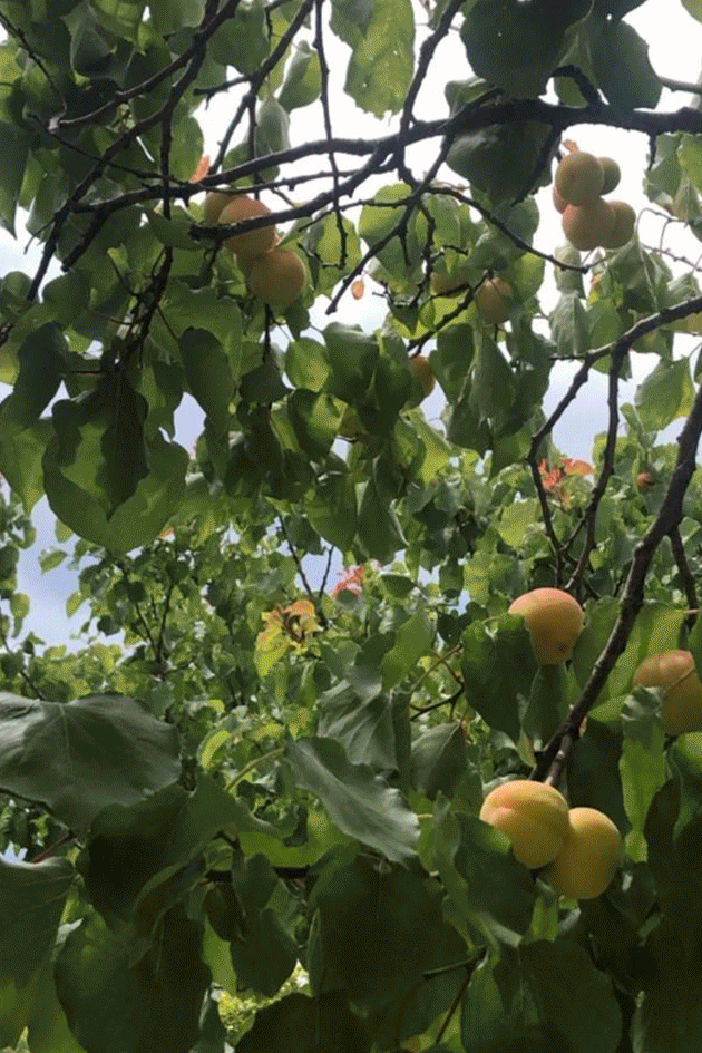 Ibiza Projects: Fashion, Sport, Nutrition, Gastronomy, Beauty, Art, Business, and Personal Growth. Gif taken from their About page.